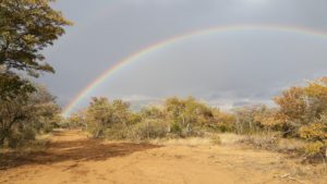 rainbow at emoya